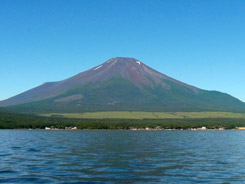 �t���[�x�m�o�R