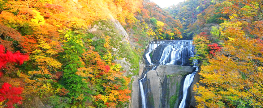 日本三名瀑・紅葉に包まれる袋田の滝