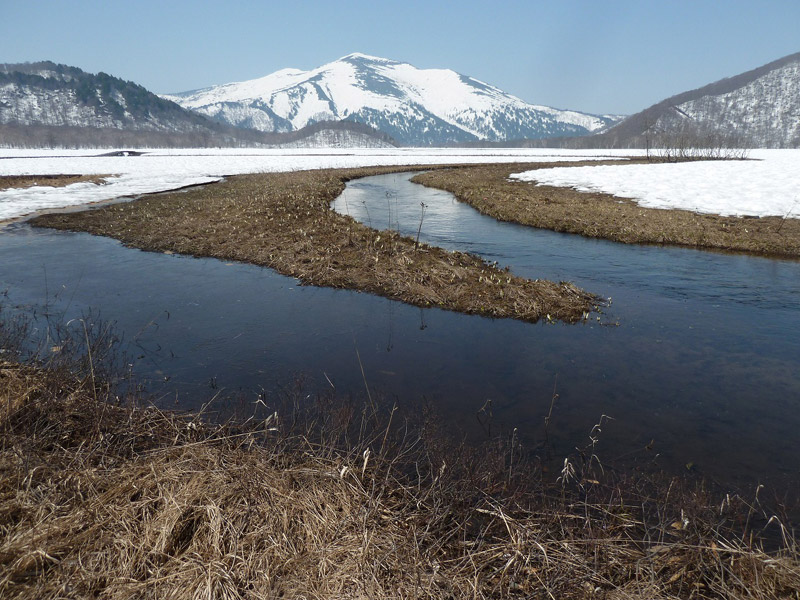 尾瀬シーズンの幕開け 19年 今年の水芭蕉は6月上旬頃 旅行情報コラム アップオン