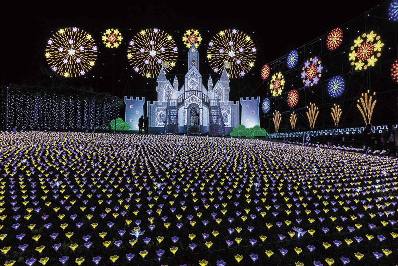 イルミネーション部門第一位　あしかがフラワーパーク「光の花の庭」栃木県足利市