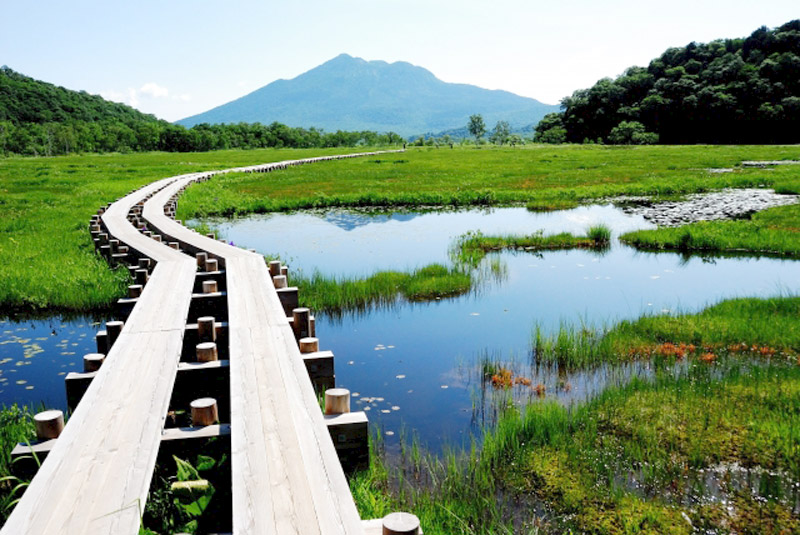 尾瀬ヶ原