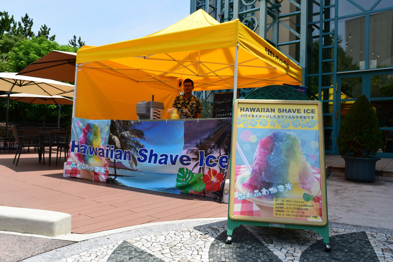 mike's shave ice