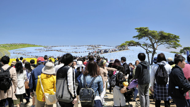 観光客でにぎわう2019年4月28日のみはらしの丘（©ひたち公園管理センター）