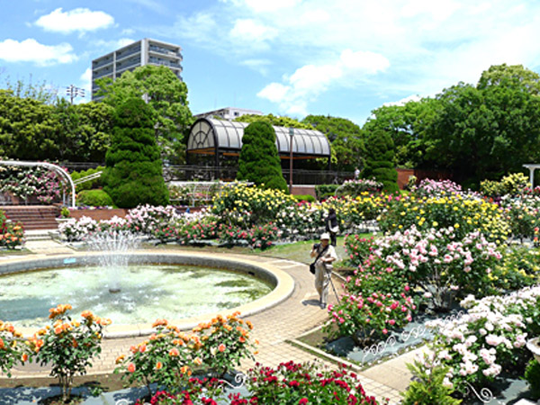 総合レクリエーション公園 東京ディズニーリゾート周辺 近くの観光スポット バスツアーのアップオン
