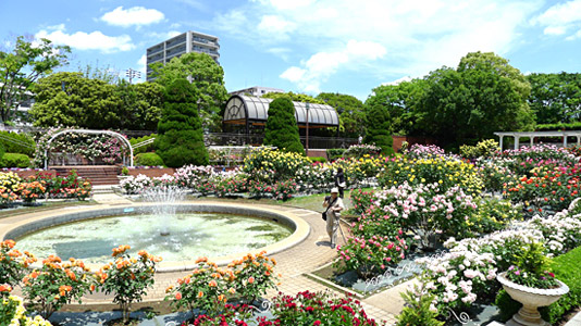 総合レクリエーション公園 東京ディズニーリゾート周辺 近くの観光スポット バスツアーのアップオン 総合レクリエーション公園 東京ディズニーリゾート周辺 近くの観光スポット バスツアーのアップオン