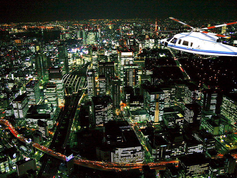 ヘリクルージング エクセル航空 東京ディズニーリゾート周辺 近くの観光スポット バスツアーのアップオン