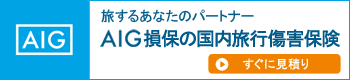 AIG保険会社のWebページ