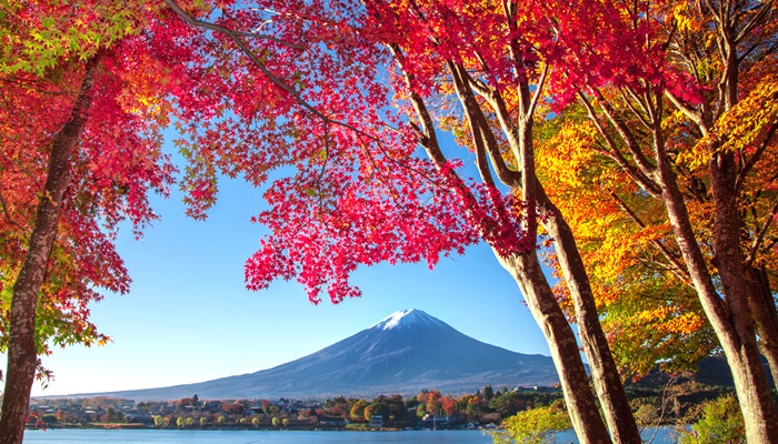 富士河口湖紅葉まつり