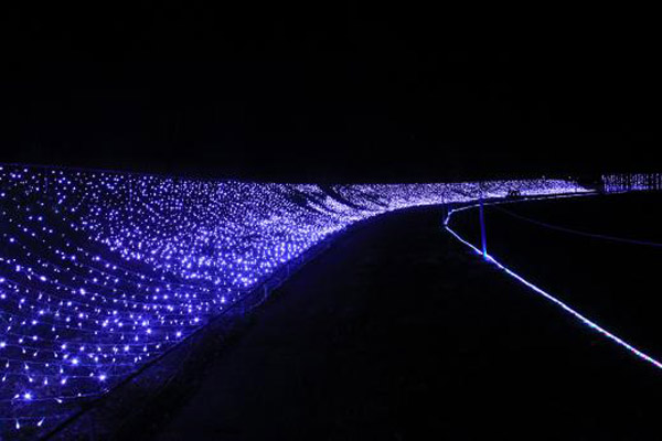 河口湖畔を彩る幻想的な風景