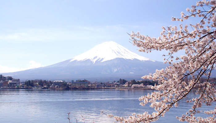 富士・河口湖さくら祭り