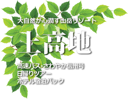 さわやか信州号 上高地への高速バス