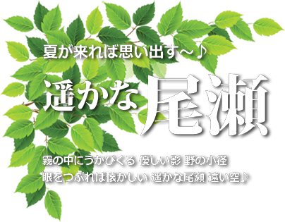 尾瀬ハイキング　バスで行く・新幹線で行く　遥かな尾瀬♪ハイキングツアー