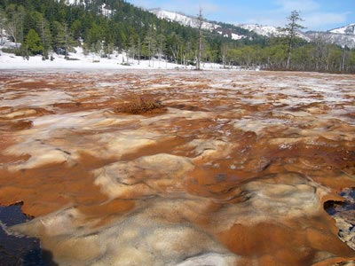 尾瀬のベストシーズン 季節 気温 楽しい尾瀬ハイキング ツアー旅行のアップオン