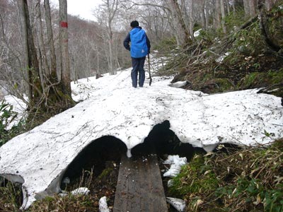 尾瀬のベストシーズン 季節 気温 楽しい尾瀬ハイキング ツアー旅行のアップオン