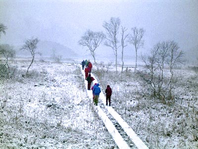 尾瀬のベストシーズン 季節 気温 楽しい尾瀬ハイキング ツアー旅行のアップオン