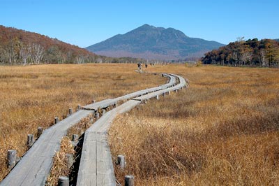 尾瀬のベストシーズン 季節 気温 楽しい尾瀬ハイキング ツアー旅行のアップオン