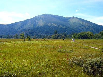 尾瀬ヶ原からの帰りは正面に至仏山を望むことに。