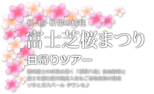 富士芝桜まつり日帰りツアー ご当地名物と富士を望む露天風呂