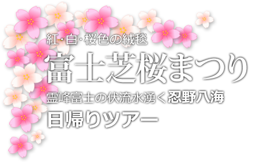 富士芝桜まつり日帰りツアー