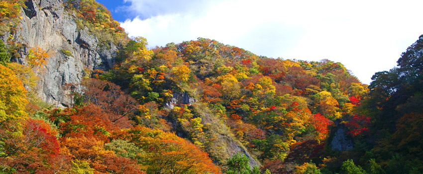 紅葉に包まれる袋田の滝を自由に、のんびり～♪