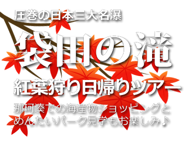 袋田の滝日帰りツアー　日本三名瀑・紅葉に包まれる