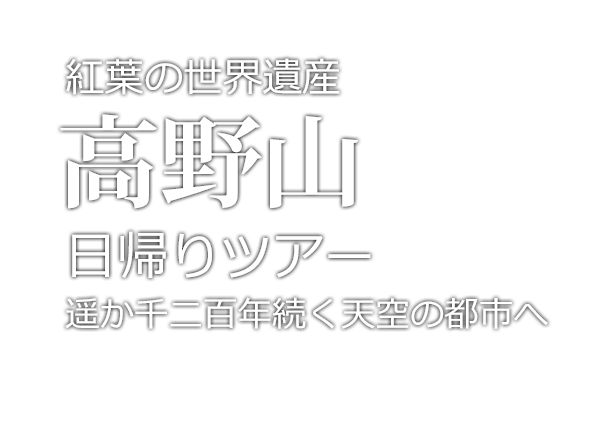 世界遺産「高野山」日帰りツアー　何度でも行きたい天空の聖地