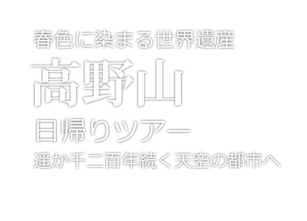世界遺産 高野山 日帰りツアー 何度でも行きたい天空の聖地 バスツアーのアップオン 世界遺産 高野山 日帰りツアー 何度でも行きたい天空の聖地 バスツアーのアップオン