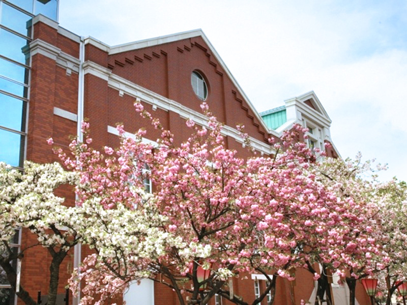 造幣局 造幣博物館 大阪一の桜の名所 大阪観光スポット情報 バスツアーのアップオン 造幣局 造幣博物館 大阪一の桜の名所 大阪観光スポット情報 バスツアーのアップオン