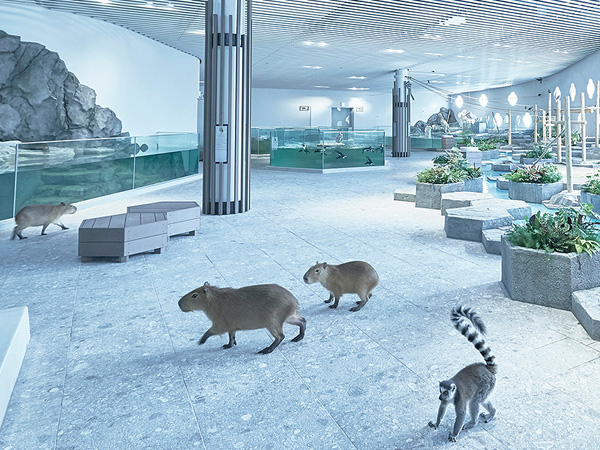 Nifrel ニフレル 新感覚の水族館 生きているミュージアム 大阪観光スポット情報 バスツアーのアップオン