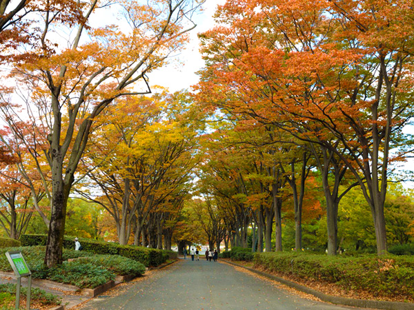 万博記念公園 自然文化園 日本万国博覧会後に再生された自然の森 大阪観光スポット情報 バスツアーのアップオン 万博記念公園 自然文化園 日本万国博覧会後に再生された自然の森 大阪観光スポット情報 バスツアーのアップオン