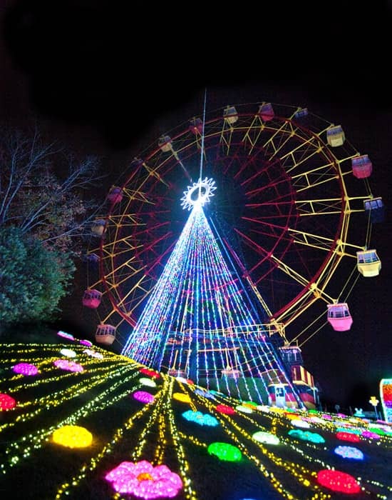 東京ドイツ村イルミネーション 日帰りバスツアー バスツアーのアップオン