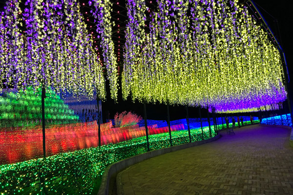光り輝く幻想的なイルミネーション なばなの里日帰りツアー バスツアーのアップオン 光り輝く幻想的なイルミネーション なばなの里日帰りツアー バスツアーのアップオン