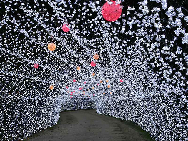 2007年度の光の回廊は「クリスタルホワイト」で、透き通るような美しさ♪