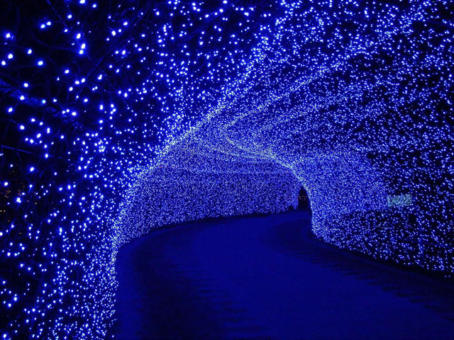 パープルを基調とした100ｍの光のトンネル「冬ほたる」