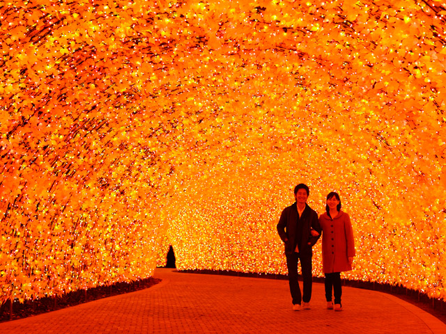 2013年度鮮やかに色づくもみじの回廊が錦秋の世界へと誘います。