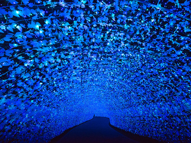2015年度「青の世界」幻想的にブルーが色変わり
