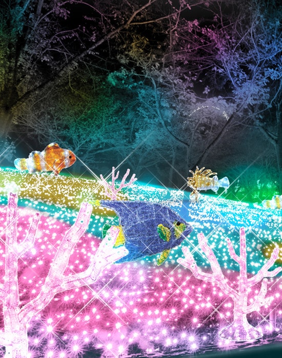 ミリオン 相模湖 イル