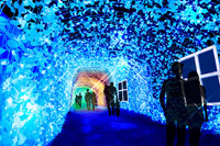 今年の光のトンネルのテーマは「光の水族館」